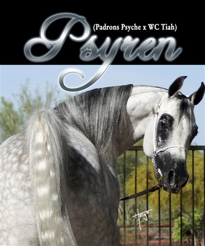 Psyren promos 1  jpg